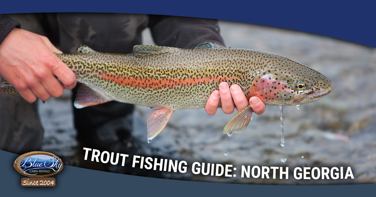 Toccoa River Trout Fishing Map Toccoa River Fishing North